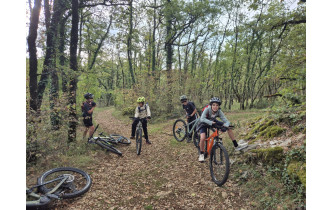 Petite halte en forêt ce samedi 17 octobre.