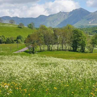 Montée du Puy de Dôme le 30 Mai