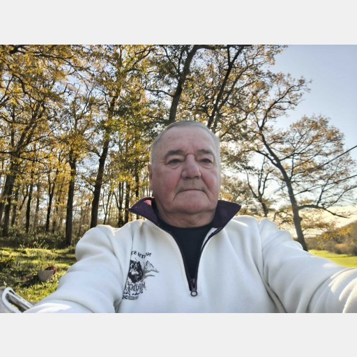 Baudouin De Colonges